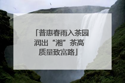 普惠春雨入茶园 润出“湘”茶高质量致富路