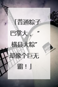 普通粽子巴掌大，“横县大粽”却像个巨无霸！