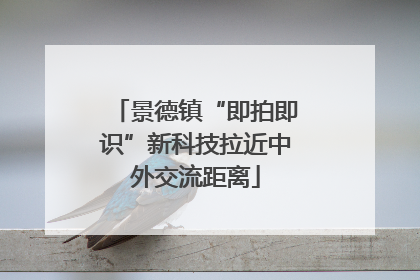 景德镇“即拍即识”新科技拉近中外交流距离