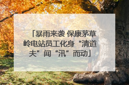 暴雨来袭 保康茅草岭电站员工化身“清道夫”闻“汛”而动