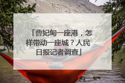 曹妃甸一座港，怎样带动一座城？人民日报记者调查