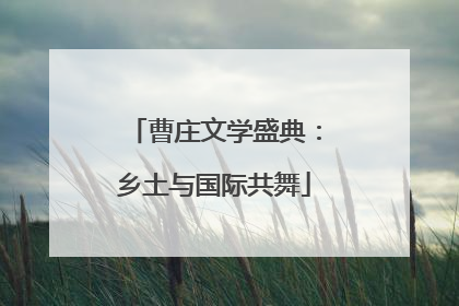 曹庄文学盛典：乡土与国际共舞