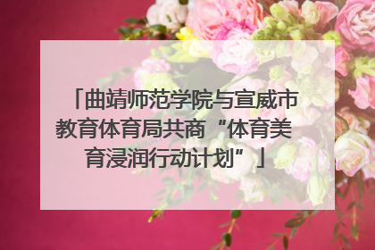 曲靖师范学院与宣威市教育体育局共商“体育美育浸润行动计划”