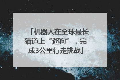 机器人在全球最长猫道上“遛狗”，完成3公里行走挑战