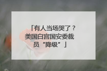 有人当场哭了？美国白宫国安委裁员“降级”