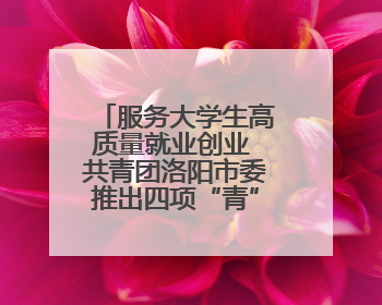服务大学生高质量就业创业 共青团洛阳市委推出四项“青”心服务
