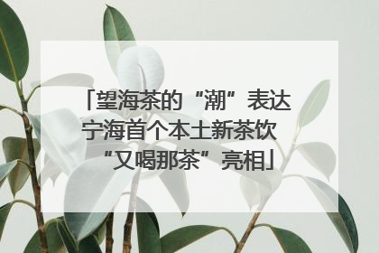 望海茶的“潮”表达 宁海首个本土新茶饮“又喝那茶”亮相