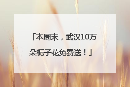 本周末，武汉10万朵栀子花免费送！