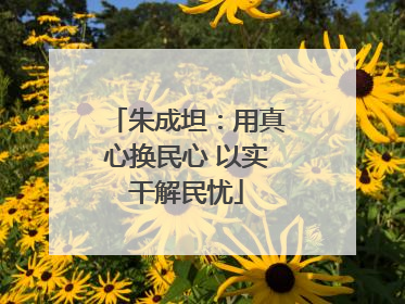 朱成坦：用真心换民心 以实干解民忧