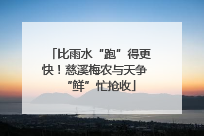 比雨水“跑”得更快！慈溪梅农与天争“鲜”忙抢收