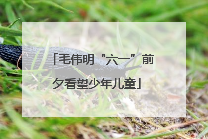 毛伟明“六一”前夕看望少年儿童