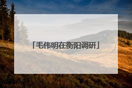 毛伟明在衡阳调研