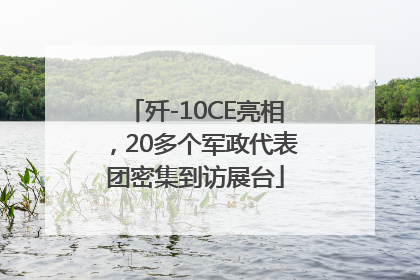 歼-10CE亮相，20多个军政代表团密集到访展台