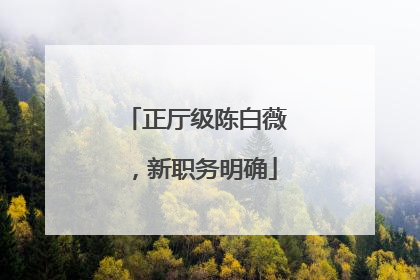 正厅级陈白薇，新职务明确