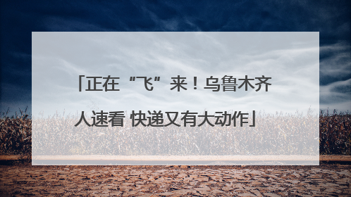 正在“飞”来！乌鲁木齐人速看 快递又有大动作