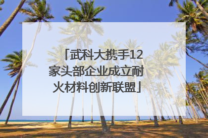 武科大携手12家头部企业成立耐火材料创新联盟
