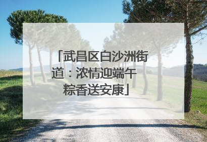 武昌区白沙洲街道：浓情迎端午 粽香送安康