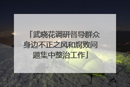 武晓花调研督导群众身边不正之风和腐败问题集中整治工作