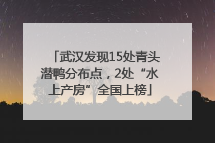 武汉发现15处青头潜鸭分布点，2处“水上产房”全国上榜