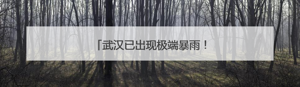 武汉已出现极端暴雨！部分铁路封锁、限速