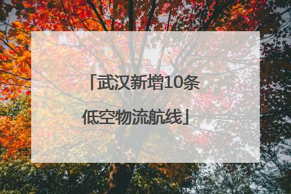 武汉新增10条低空物流航线