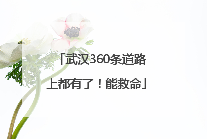 武汉360条道路上都有了！能救命