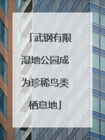 武钢有限湿地公园成为珍稀鸟类栖息地