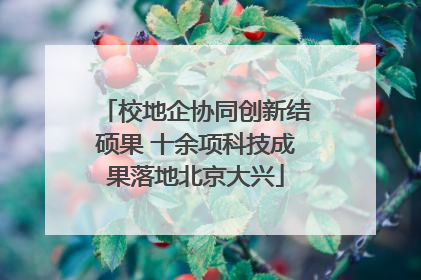 校地企协同创新结硕果 十余项科技成果落地北京大兴