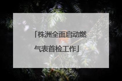 株洲全面启动燃气表首检工作