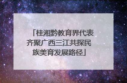 桂湘黔教育界代表齐聚广西三江共探民族美育发展路径