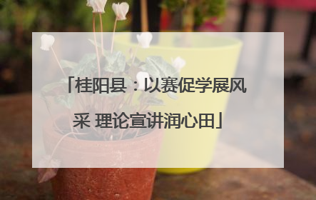 桂阳县：以赛促学展风采 理论宣讲润心田