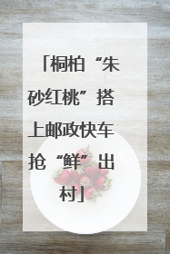 桐柏“朱砂红桃”搭上邮政快车抢“鲜”出村