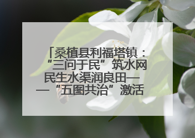 桑植县利福塔镇：“三问于民”筑水网 民生水渠润良田——“五图共治”激活基层治理新动能