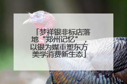 梦祥银非标店落地“郑州记忆”，以银为媒重塑东方美学消费新生态