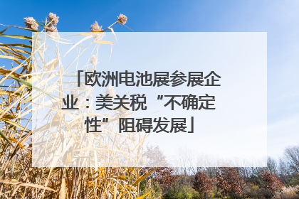 欧洲电池展参展企业：美关税“不确定性”阻碍发展