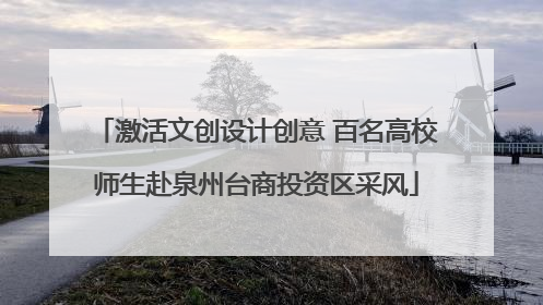 激活文创设计创意 百名高校师生赴泉州台商投资区采风
