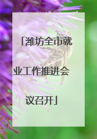 潍坊全市就业工作推进会议召开