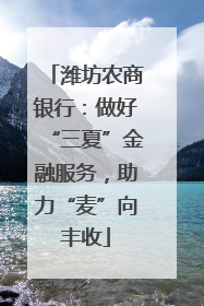 潍坊农商银行：做好“三夏”金融服务，助力“麦”向丰收
