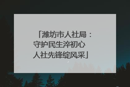 潍坊市人社局：守护民生淬初心 人社先锋绽风采