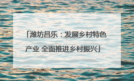 潍坊昌乐：发展乡村特色产业 全面推进乡村振兴