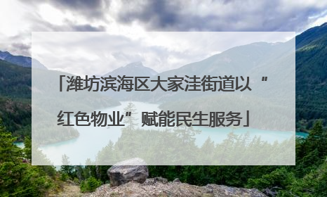潍坊滨海区大家洼街道以“红色物业”赋能民生服务