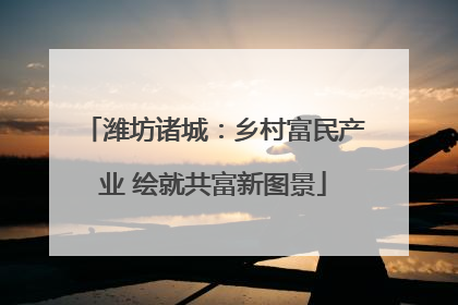 潍坊诸城：乡村富民产业 绘就共富新图景