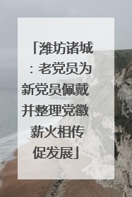 潍坊诸城：老党员为新党员佩戴并整理党徽 薪火相传促发展