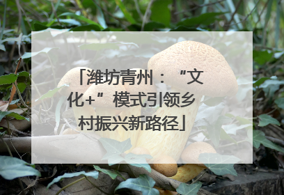潍坊青州：“文化+”模式引领乡村振兴新路径