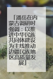 潘岳在内蒙古调研时强调：以推进中华民族共同体建设为主线推动边疆民族地区高质量发展