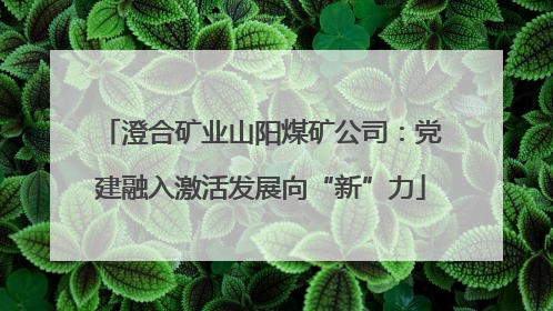 澄合矿业山阳煤矿公司:党建融入激活发展向“新”力
