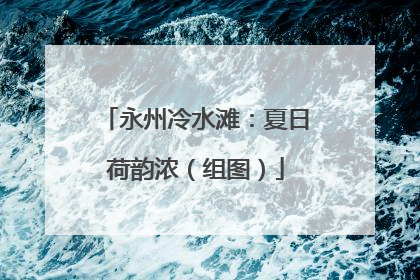 永州冷水滩：夏日荷韵浓（组图）