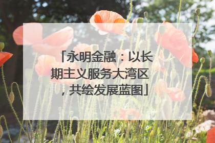 永明金融：以长期主义服务大湾区，共绘发展蓝图