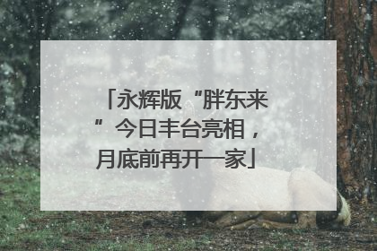 永辉版“胖东来”今日丰台亮相，月底前再开一家