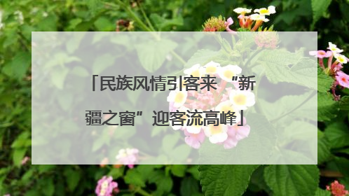 民族风情引客来 “新疆之窗”迎客流高峰